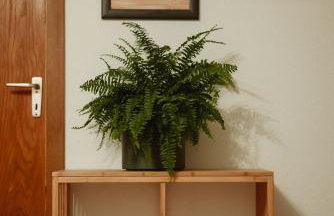 Moderne Wohnung mit 2 Schlafzimmer - Foto 22