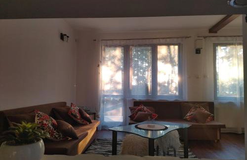 Domek w Borach Tucholskich - Wycinki - Foto 8