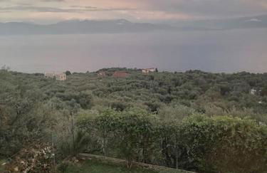 White Hill Platanos - Photo 15