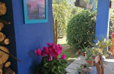 Agriturismo Campolungo - Foto 74