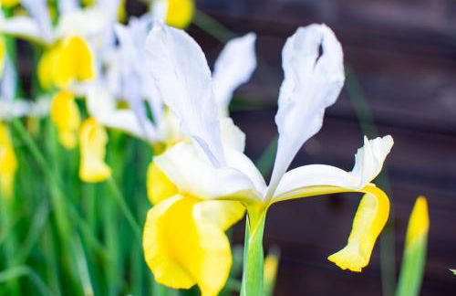 Residence Stradella Verde - Photo 56