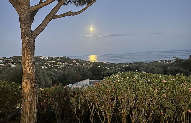 Les Mini-villas de Santa-giulia - Foto 58