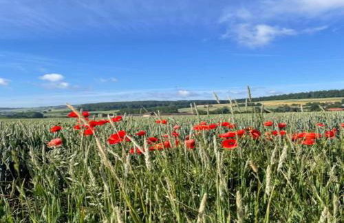 Bungalow im Feriendorf Uslar mit Gartenterrasse - Photo 60