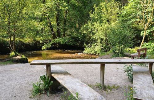 The Conifers 3 Room Small but Stylish Self Catering Bedsit Flat in Nature Reserve Free Eden taxi b4 9pm no lounge - Photo 30