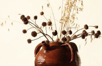 Casa Pauseto - Foto 45