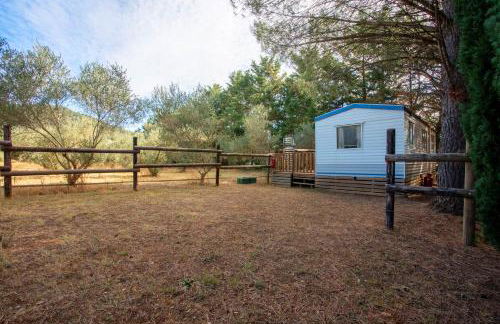 Kenya - Écuries du Mas di Gau - Foto 22