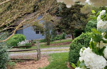 Restored1850s log cabin, with gazebo and gardens! 1 mile to downtown Weaverville - Foto 55