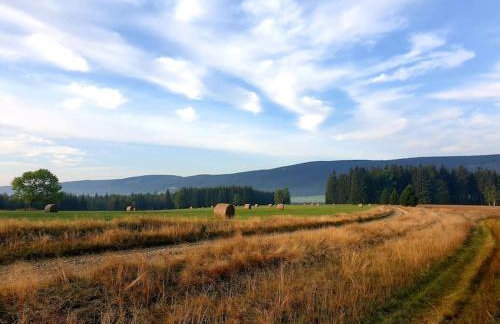 Komfortowy dom z bali koło Zieleńca z widokiem na góry - Foto 39