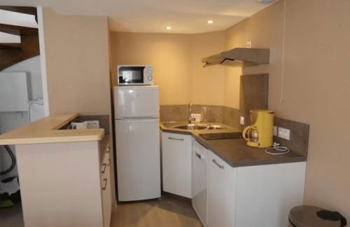 Gîte 19 confortable avec terrasse privée et vue sur le Puy Mary Cantal - Photo 3