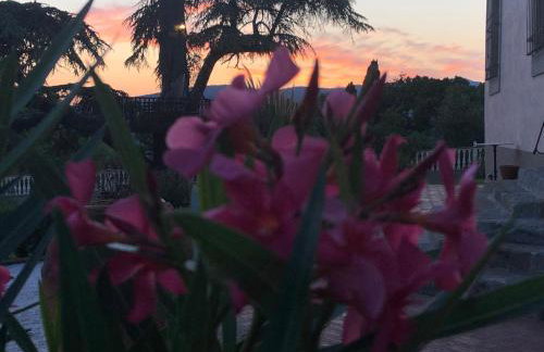 Villa D'Arte Agri Resort - Photo 31