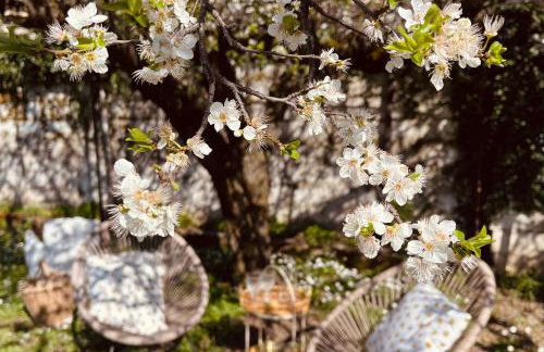 Casa Delicosta- 2 Flat Country house with garden, 15 min from Trikala - Foto 51