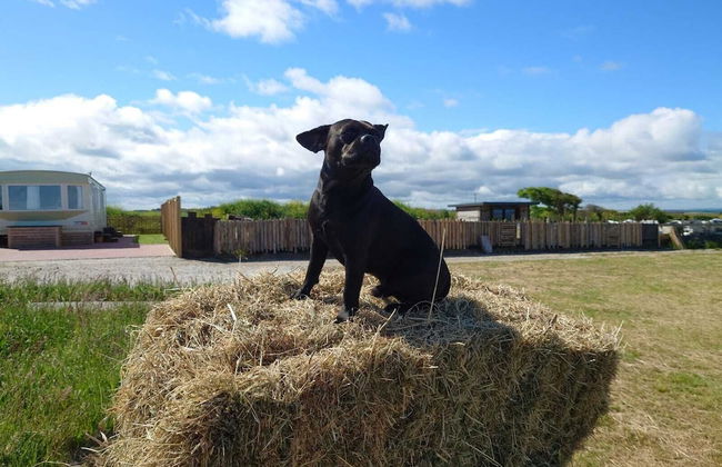 Watergate Lane Hideout - Foto 24