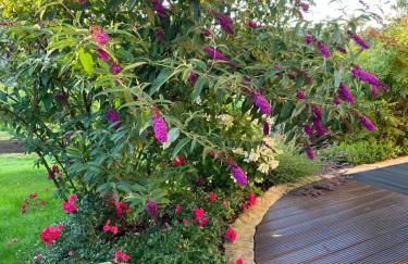 Landhaus Waltersdorf - Pool & Wellness - Foto 45