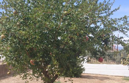 Kleoni's cottage - Foto 46