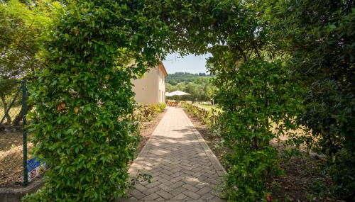 Agriturismo Sant Elmira - Relax with external Jacuzzi - Foto 2, Garden