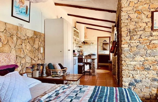 João Jungle - Foto 3