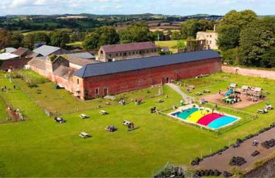 Oaktree Manor - BBQ, games rooms and pet friendly - Photo 32