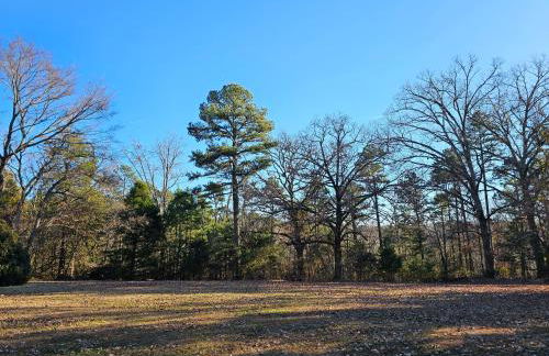 Near Beaver Lake King Bed Jetted Tub FirePit - Foto 17
