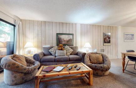 Summit Condominium #273 Condo - Foto 6