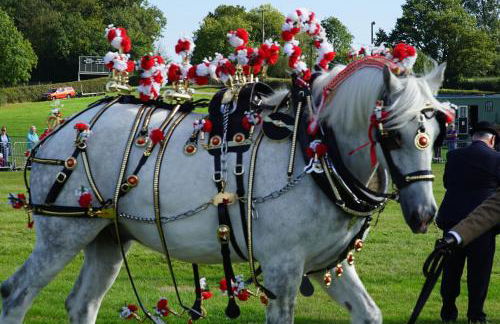 Character 2 double bedroom cottage in Shaftesbury - Foto 57