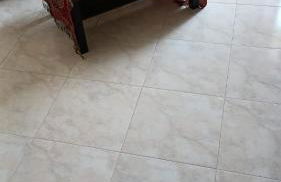 Appartamento Sapienza - Foto 5