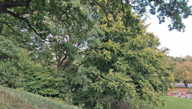 6 Person Holiday Home in Saeby-by Traum - Foto 3