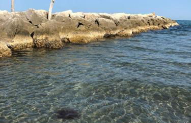 Appartamento Alla Riviera - Photo 42