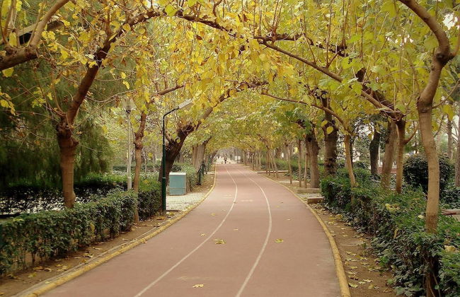 Maxxmarine hotel - Foto 8