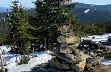 Bike Park & Spa Czarna Góra Resort - Foto 8