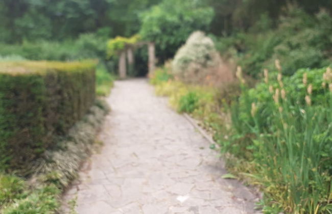 Beautiful Cosy 1bedroom Apartment in London - Foto 46