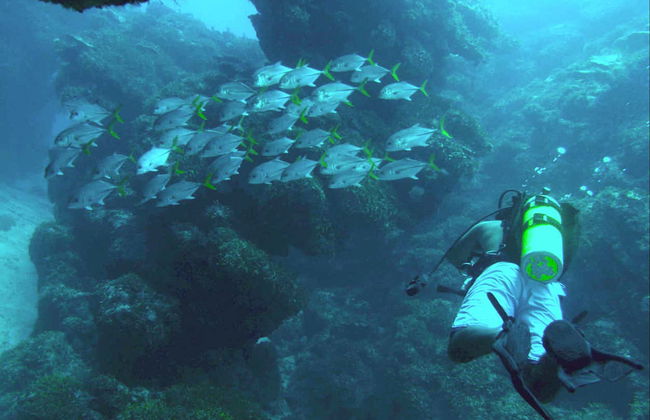 Xcalak Scuba Diving - Foto 3