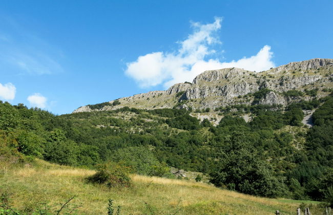 Al Faggio (GLL120) - Foto 3