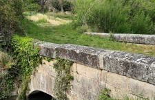 La Jubilotte - Foto 23