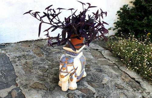 Moulin des Forges Gites, Camping et Glamping - Photo 8