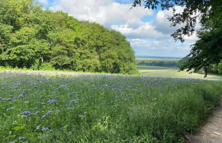 FeWo Hasen Suite - Foto 8