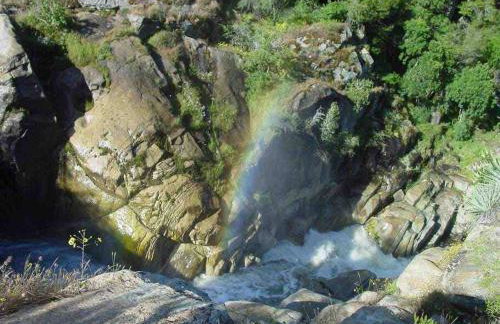 Sweet getaway in private Giant Sequoia Grove! - Foto 14