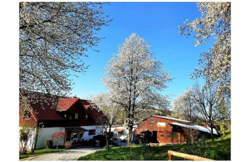 Holiday home in Windeck with barbecue - Foto 16