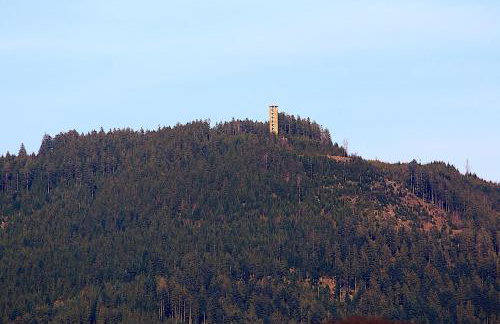 Ferienwohnungen Beilerstädtle - Foto 24