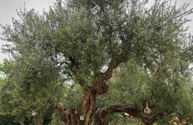 Garden House - Foto 12