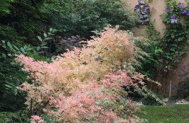 Dom wypoczynkowy na Kaszubach o niezwyklym klimacie - Foto 32