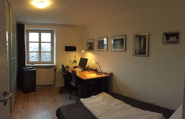 Natur pur in den Amperauen - Photo 4