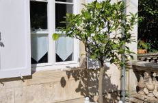 Clos Montcenoux, au coeur de Bourges. - Foto 7