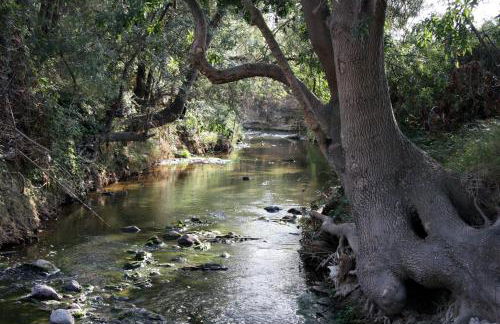 Ca l'Helena - Foto 20