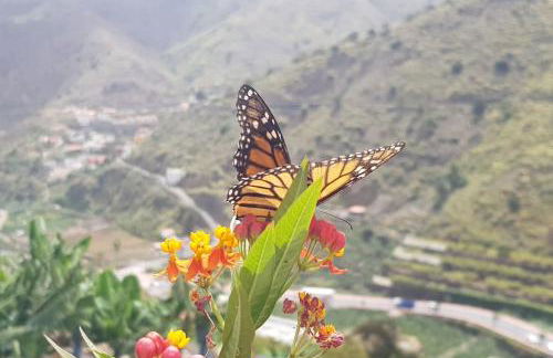 Casa Tajaraste 1 - Foto 49