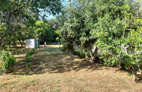 Lemontree Apartments - Foto 45