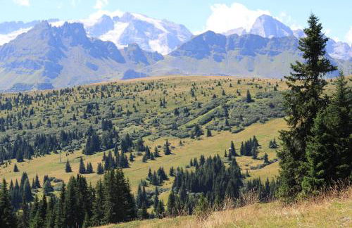 Appartamenti Dany - Foto 50