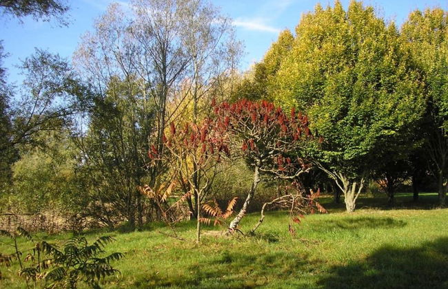 Charming Holiday Home in Gargas With Swimming Pool - Photo 36