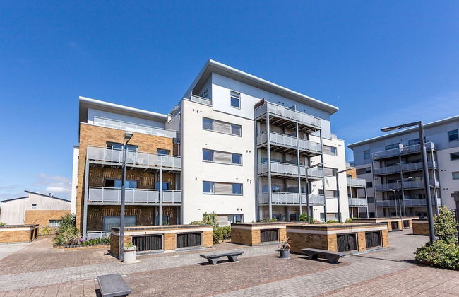 About Tern - Foto 22