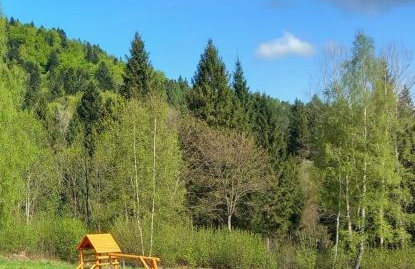 Chata pod Jelenim Skokiem - Foto 20