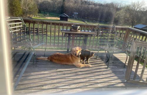 Full Circle Farm Inn - Foto 33